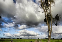 完美体育官网:塞鸟女儿在北京上国际幼儿园,妻子:在新家上学的第一天❤️.