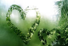 完美体育官网：[图]德甲-萨内梅开二度凯恩传射 拜仁主场3-2圣保利.