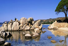 完美体育官网：[NBA]格林23+9 火箭主场狂胜独行侠.